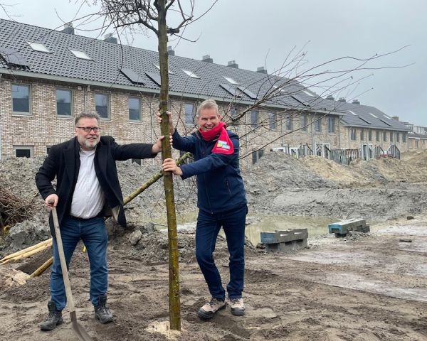 Meidoorns de geelvinck